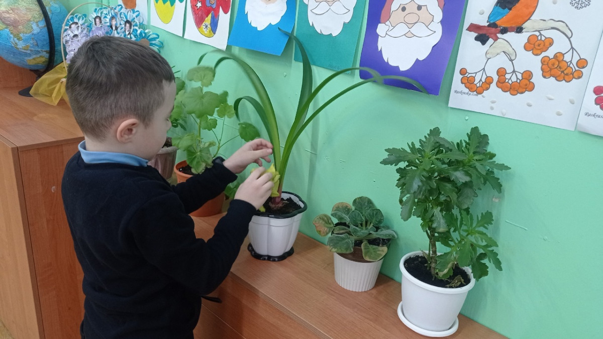 Постер к социальной практике: Чистодей