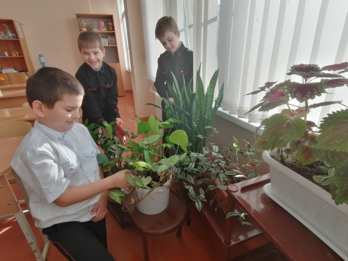 Постер к социальной практике: Воля и труд дивные всходы дают!