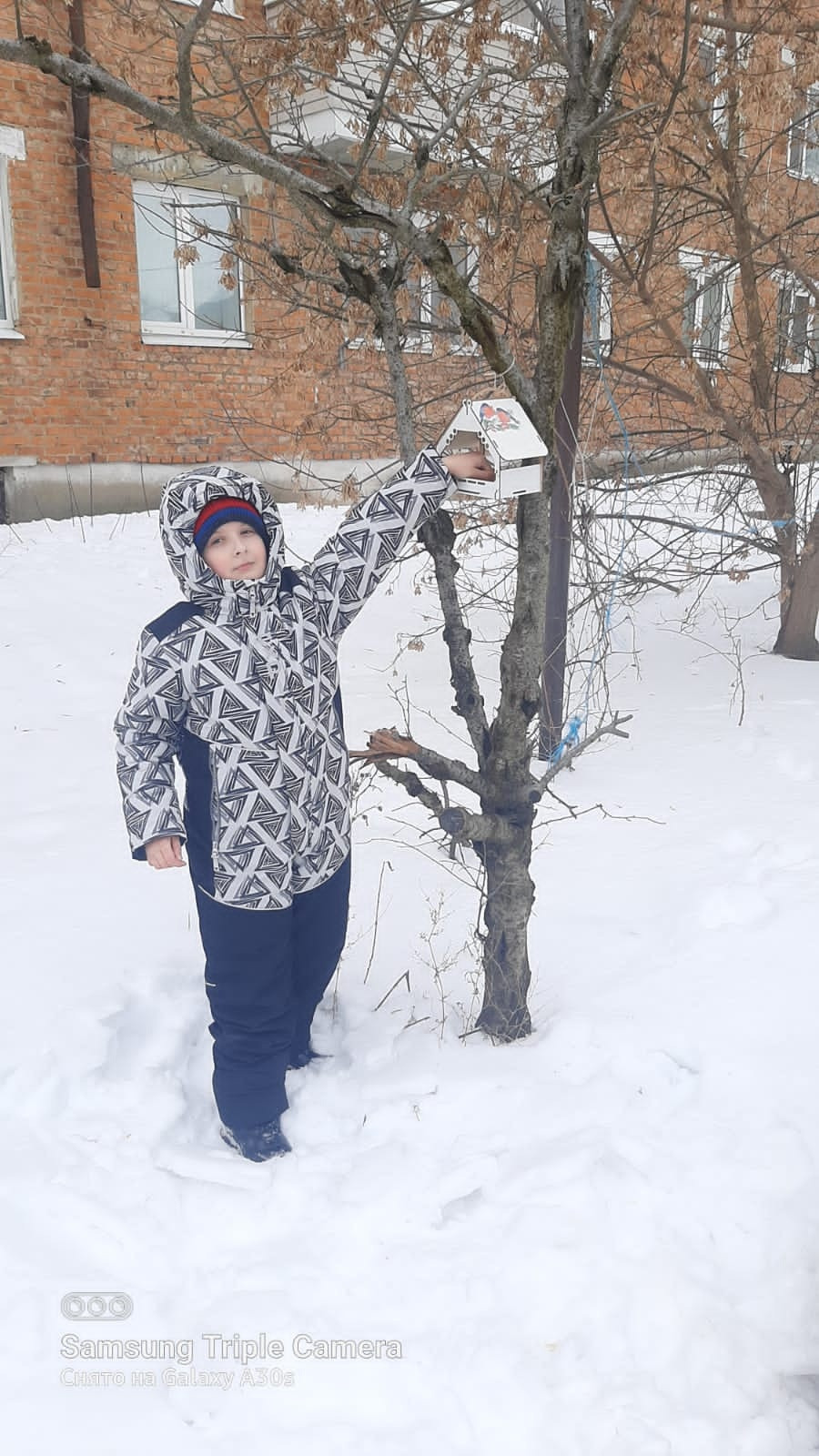 Постер к социальной практике: Накормим птиц зимой!