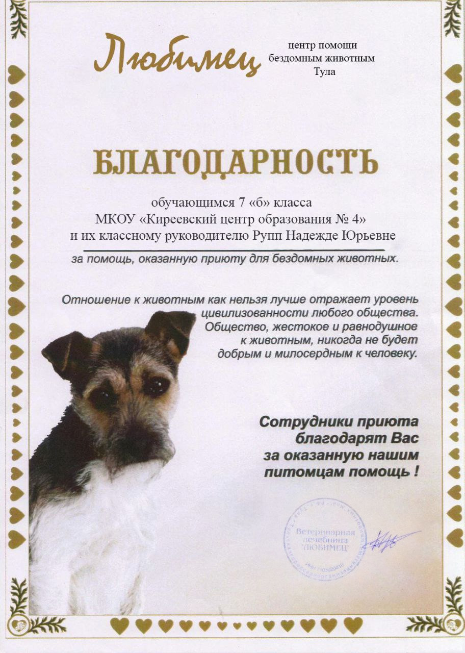 Постер к социальной практике: Благотворительная помощь животным, содержащимся в центре "Любимец"