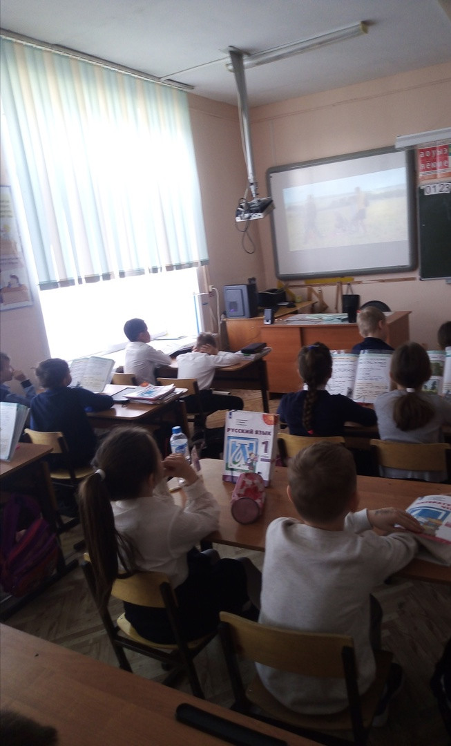 Постер к социальной практике: радость познания