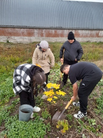 Постер к социальной практике: Красота спасёт мир