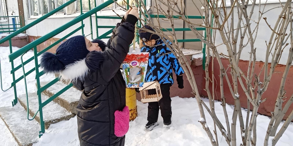 Постер к социальной практике: Каждой пичужке-своя кормушка