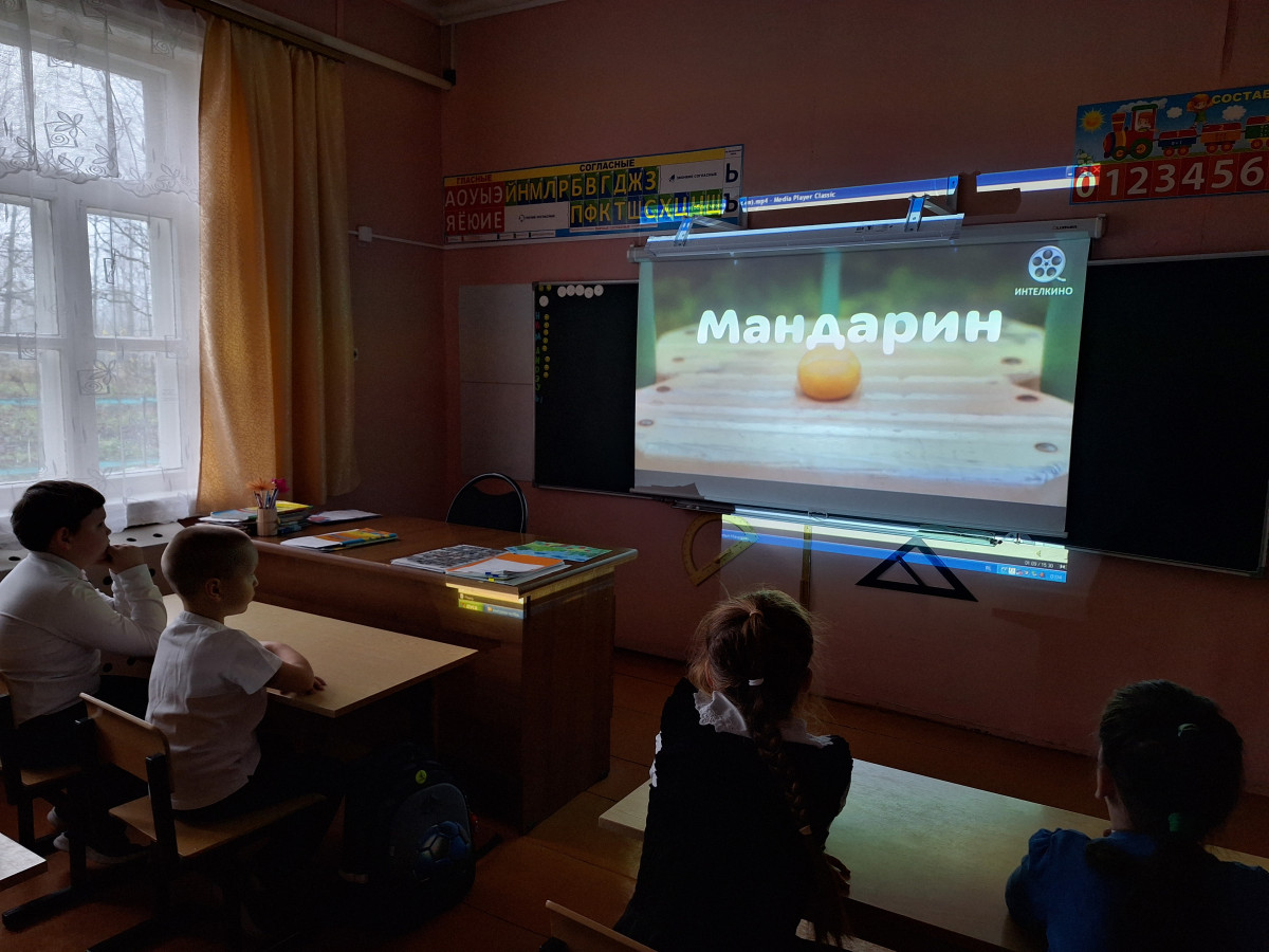 Постер к социальной практике: "Один за всех"