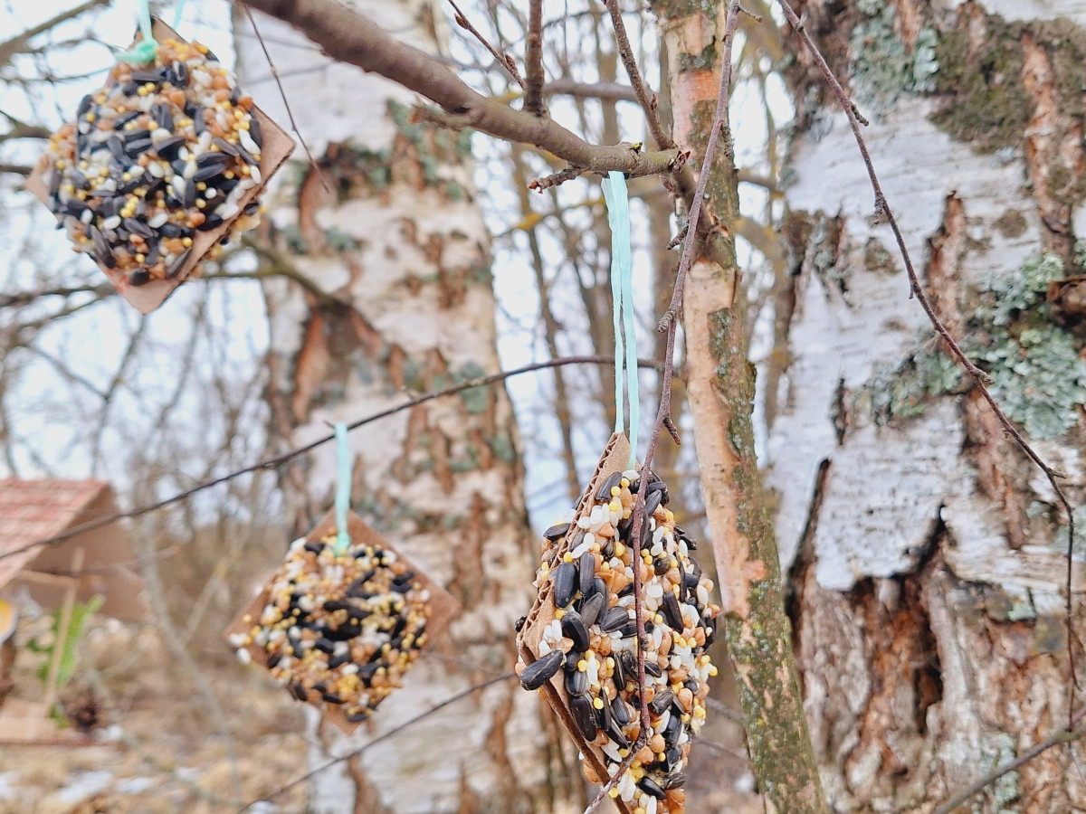 Постер к социальной практике: "Аппетитная кормушка"