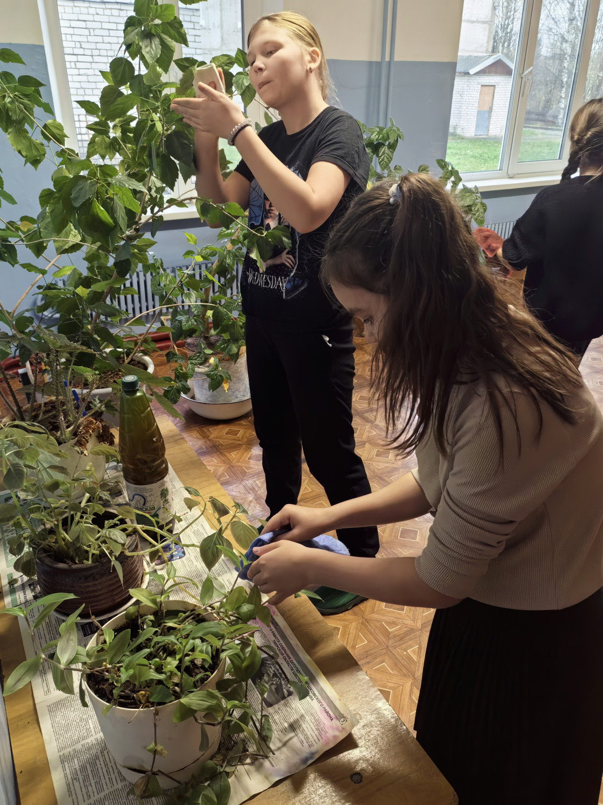 Постер к социальной практике: Друг в беде не бросит