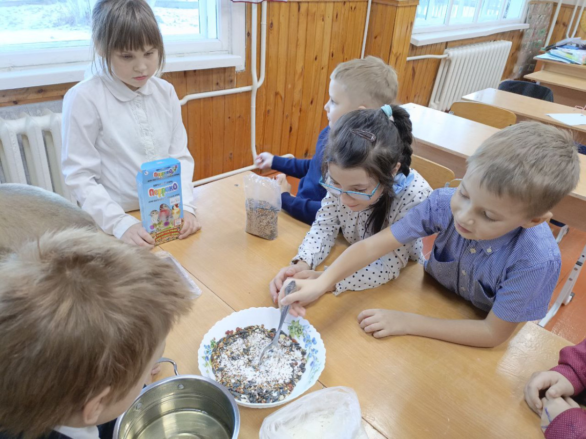 Постер к социальной практике: "Друзья пернатых"