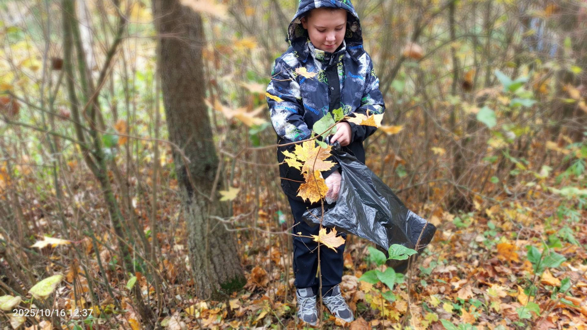 Постер к социальной практике: Всегда есть место добру