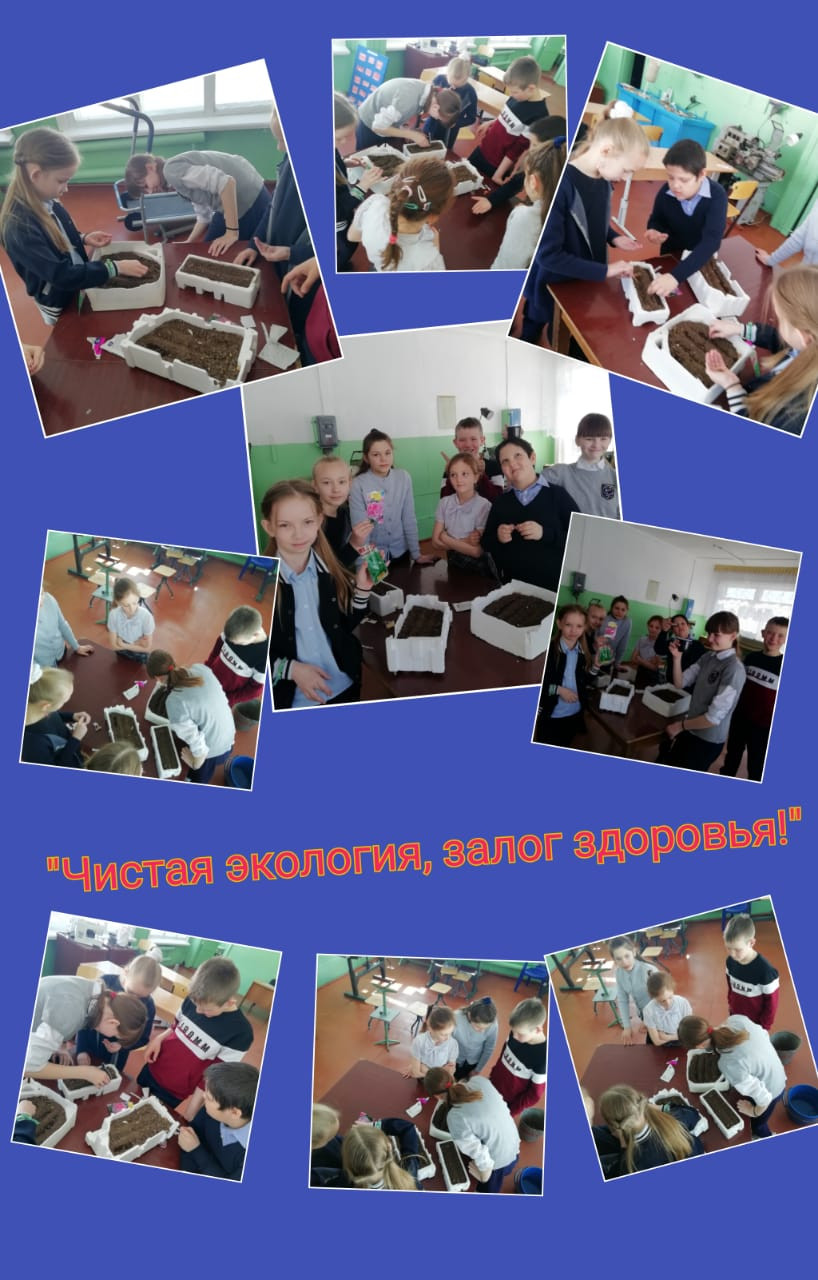 Постер к социальной практике: Чистая экология - залог здоровья