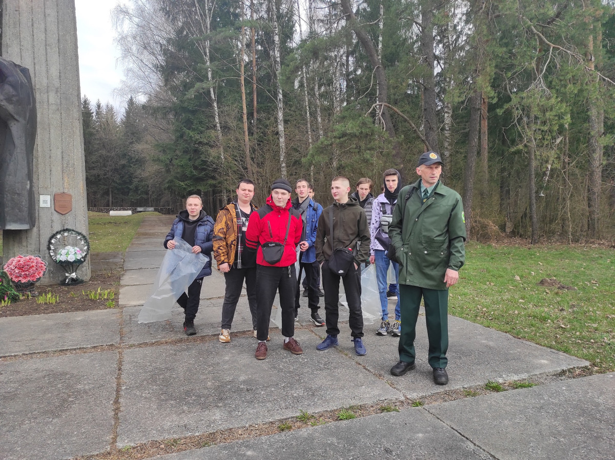 Постер к социальной практике: Спасаем лес от мусора