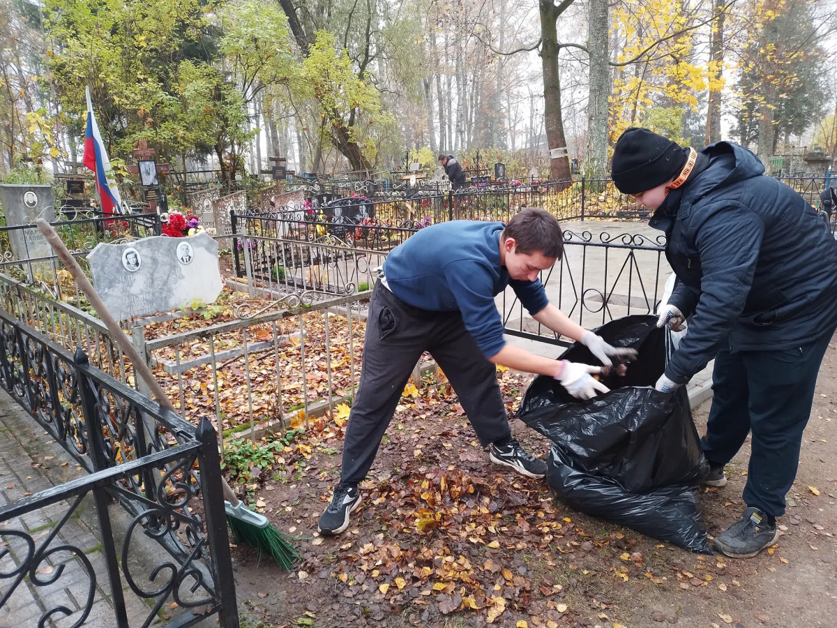 Постер к социальной практике: Редкий вид