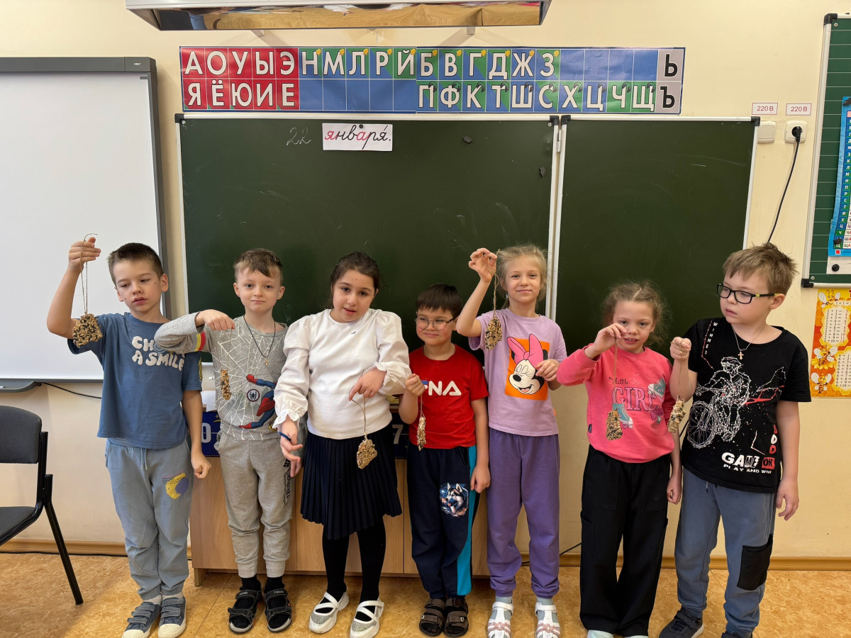 Постер к социальной практике: "Спасите птиц"