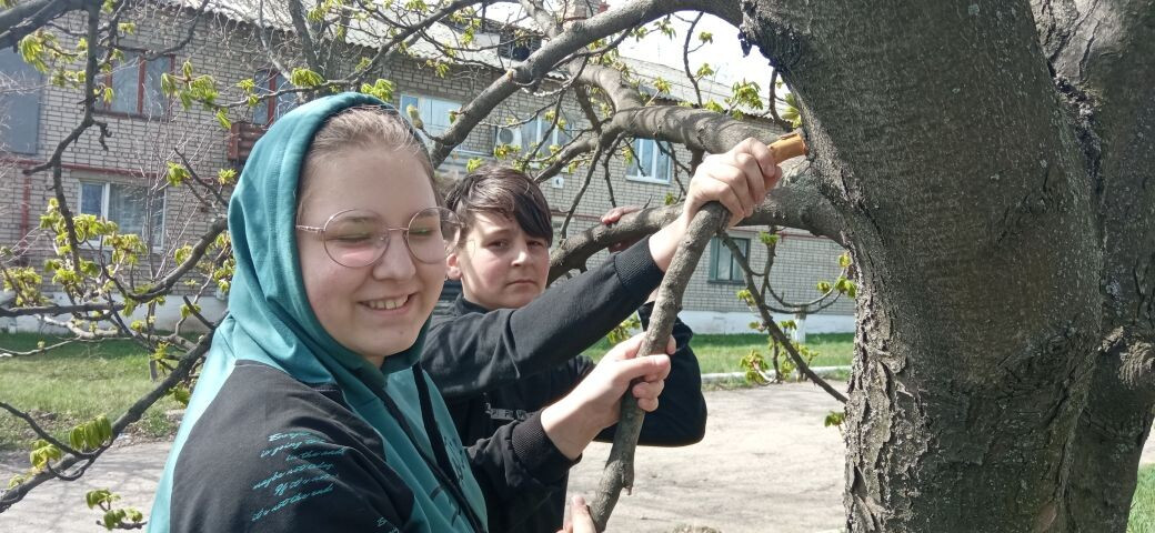Постер к социальной практике: Неанисия