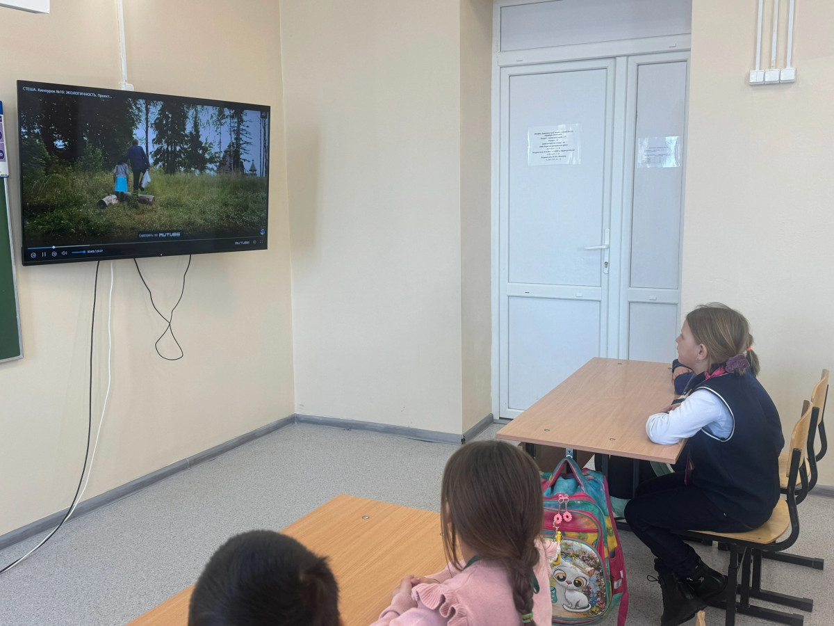 Постер к социальной практике: Помоги птицам