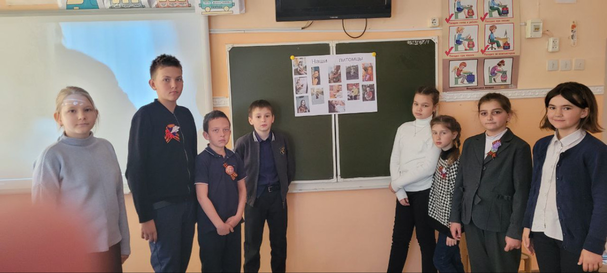 Постер к социальной практике: фотовыставка "Наши питомцы"