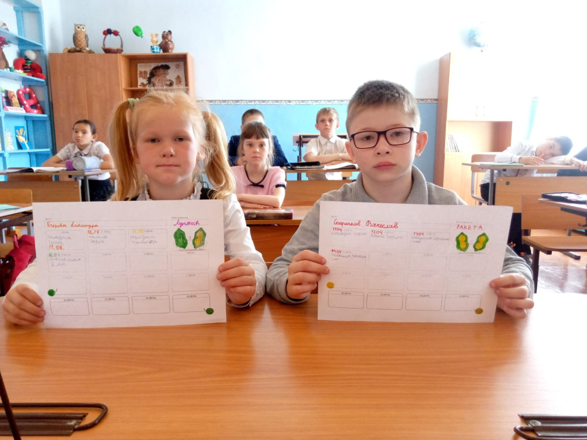 Постер к социальной практике: Экология  и я, вместе дружная семья