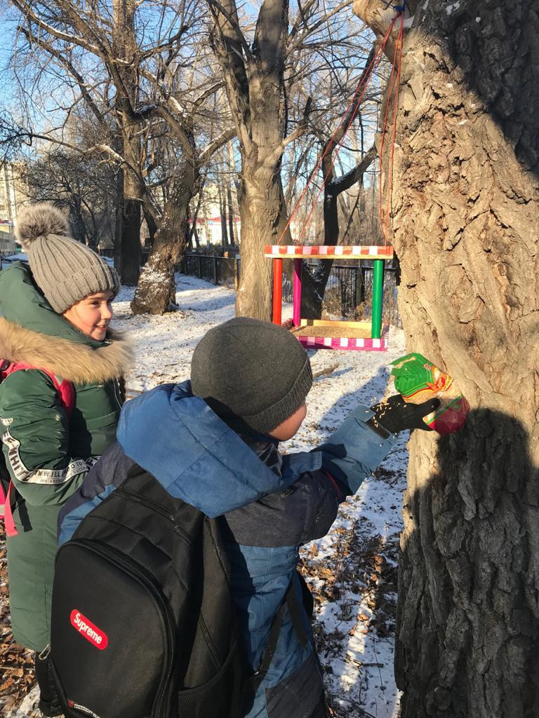 Постер к социальной практике: Помогаем птицам зимовать зиму
