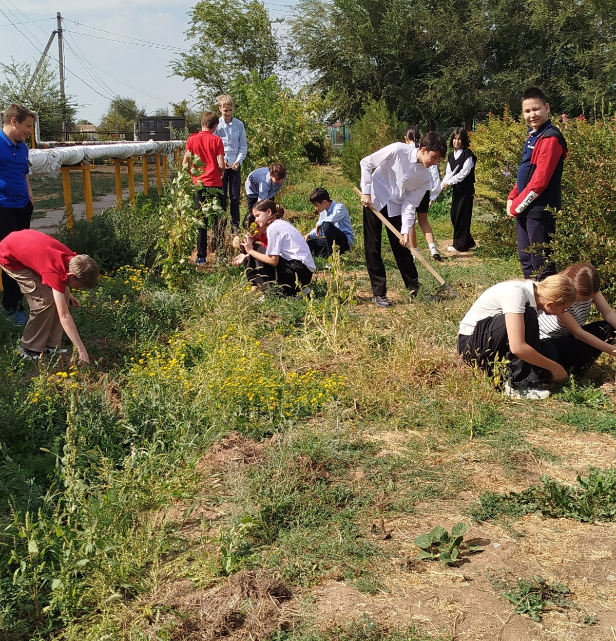 Постер к социальной практике: Добрые дела