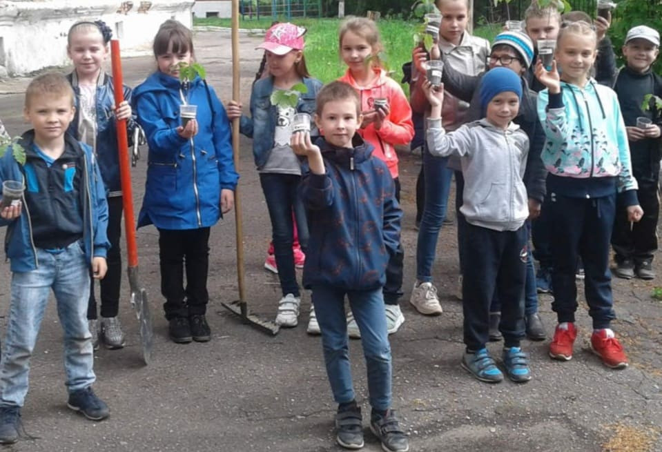 Постер к социальной практике: Посадим свое дерево