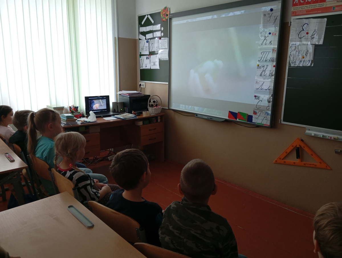 Постер к социальной практике: Подари улыбку родным