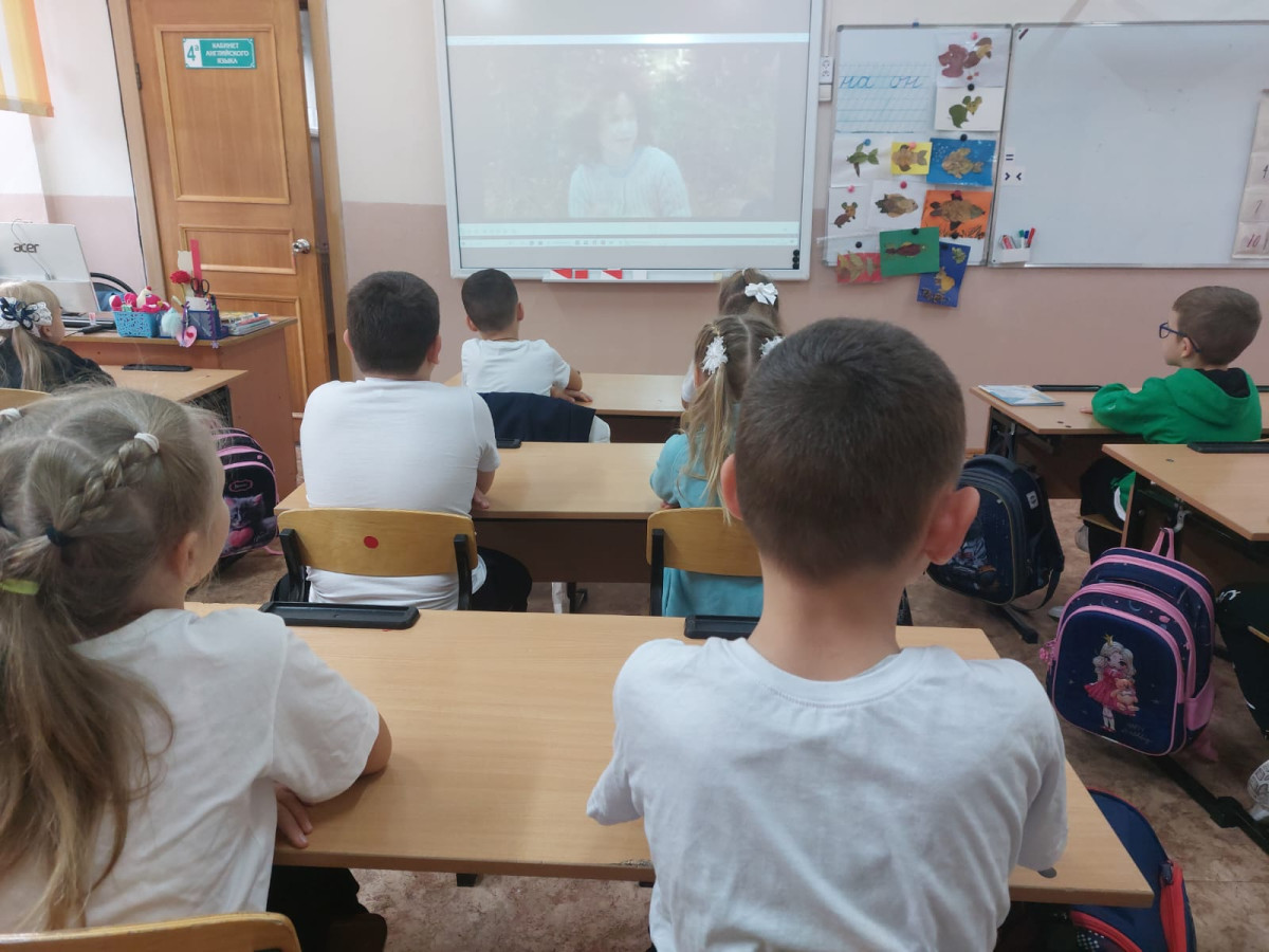 Фотография социальной практики №92797 - Красота природы - дело каждого!