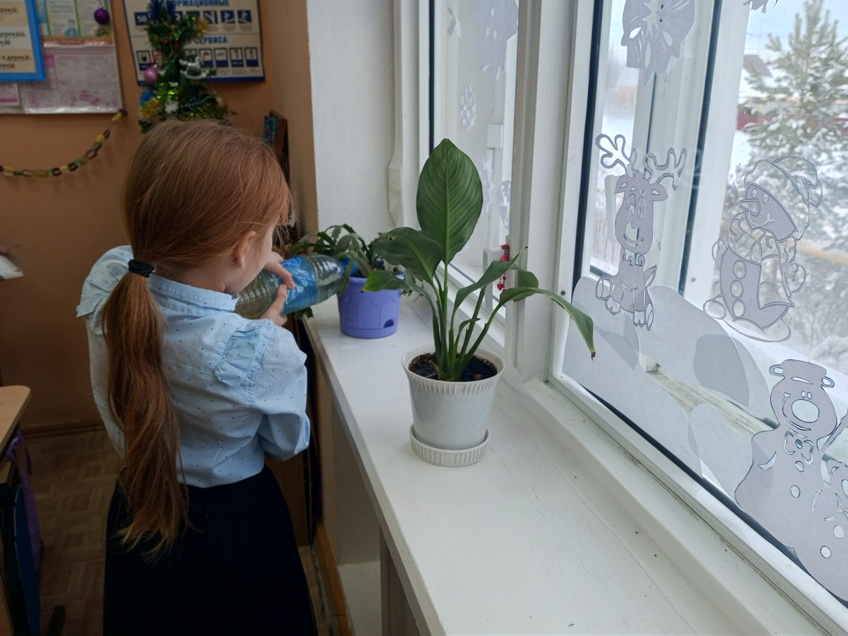 Постер к социальной практике: Чистодей