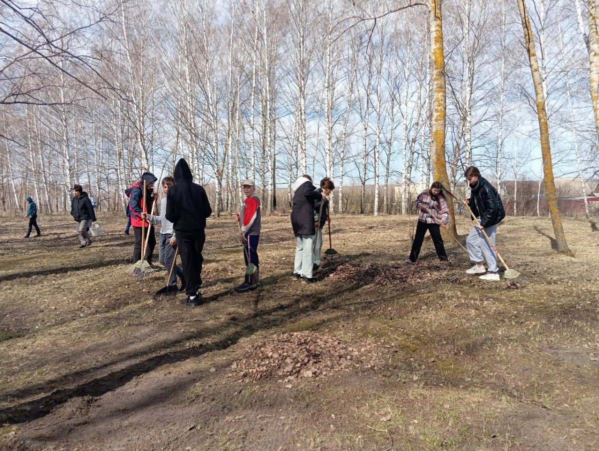 Постер к социальной практике: "Зелёный оазис школы"