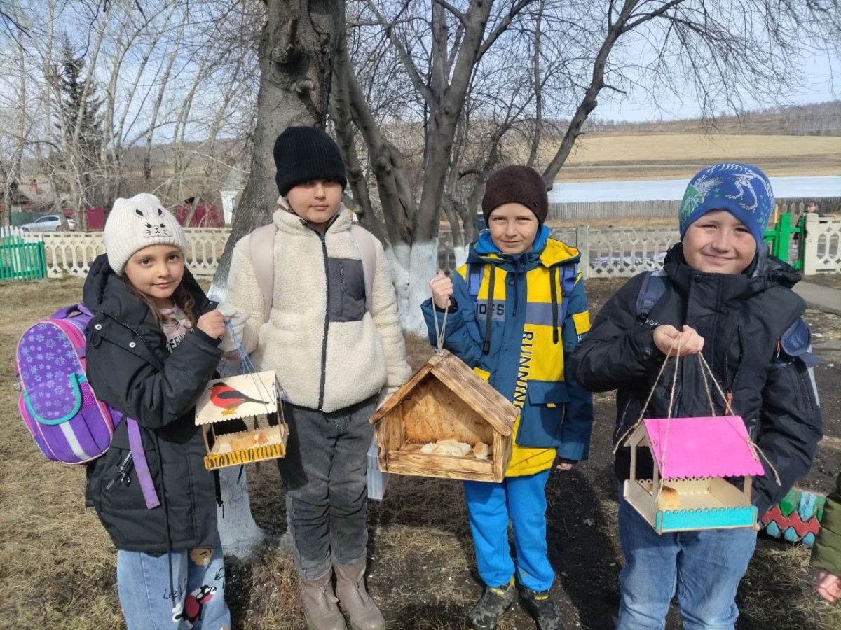 Постер к социальной практике: Экология-дело каждого! Забота о пернатых друзьях.