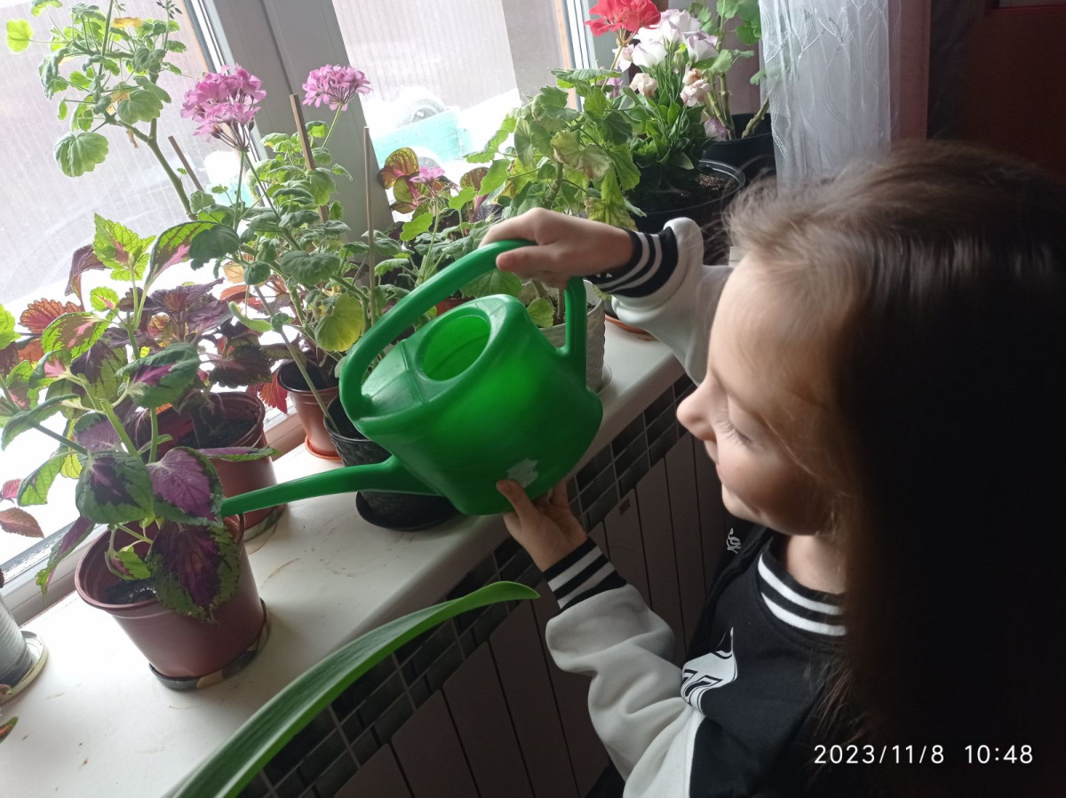 Постер к социальной практике: "Ниточка помощи"