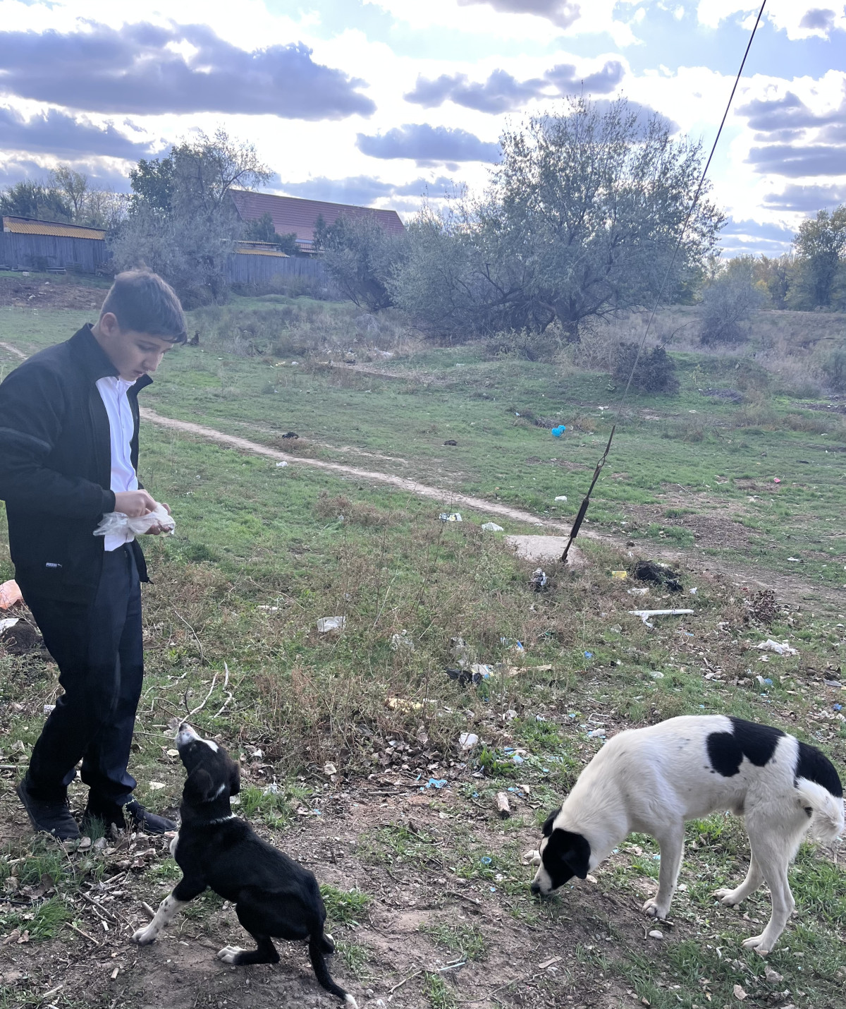 Постер к социальной практике: Помогаем братьям нашим меньшим