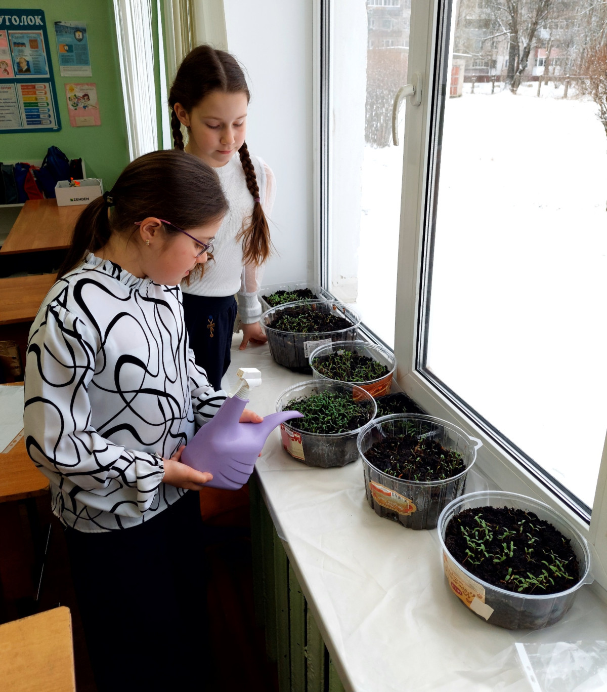 Постер к социальной практике: Зеленая школа