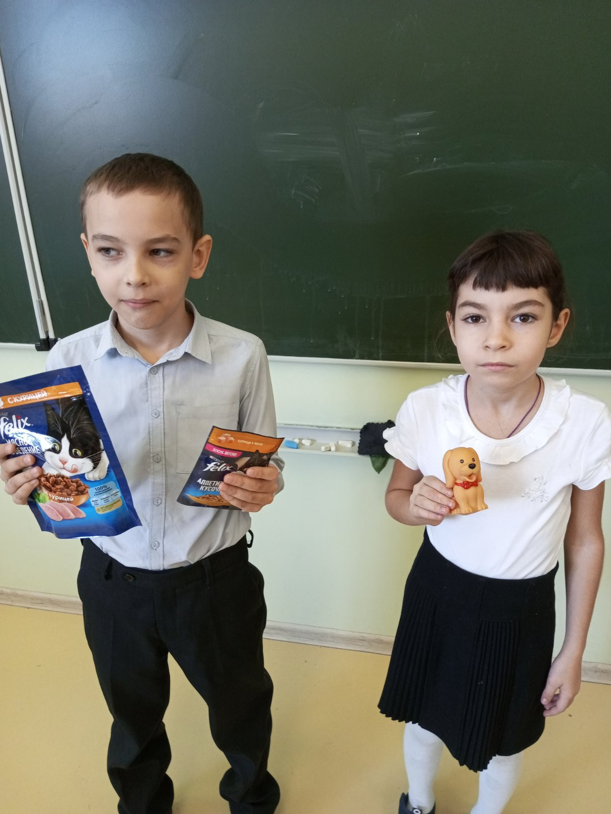 Постер к социальной практике: Помощь приюту для животных.