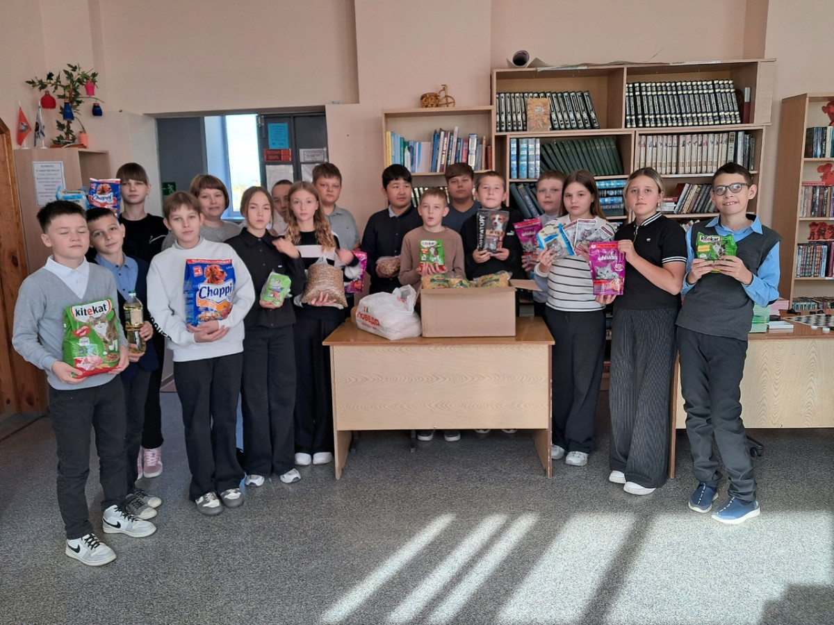 Постер к социальной практике: Помощь приюту бездомных животных "Зооспасение"