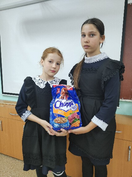 Постер к социальной практике: Помощь приюту