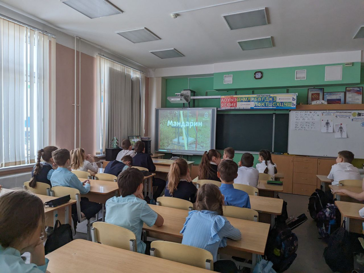 Постер к социальной практике: Конверты радости