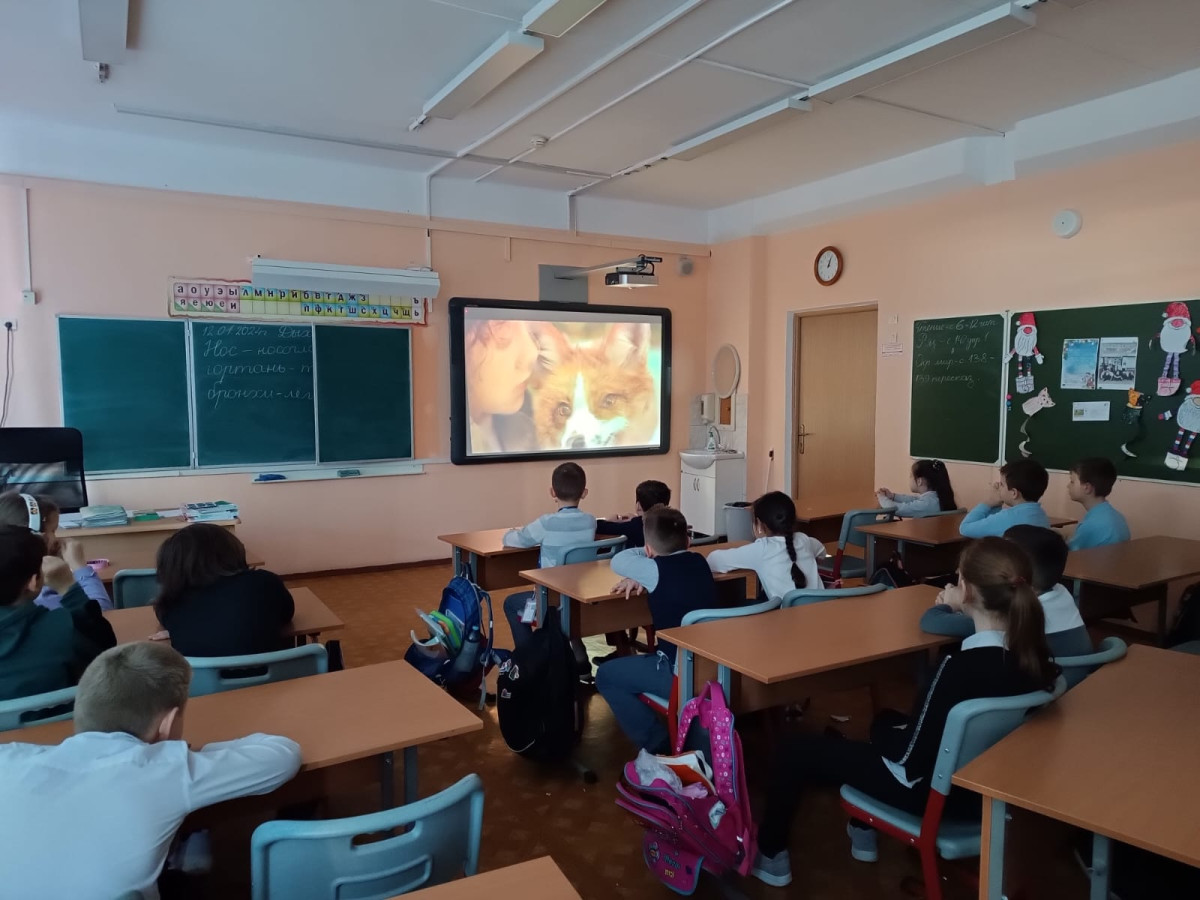 Постер к социальной практике: Кормушки для птиц