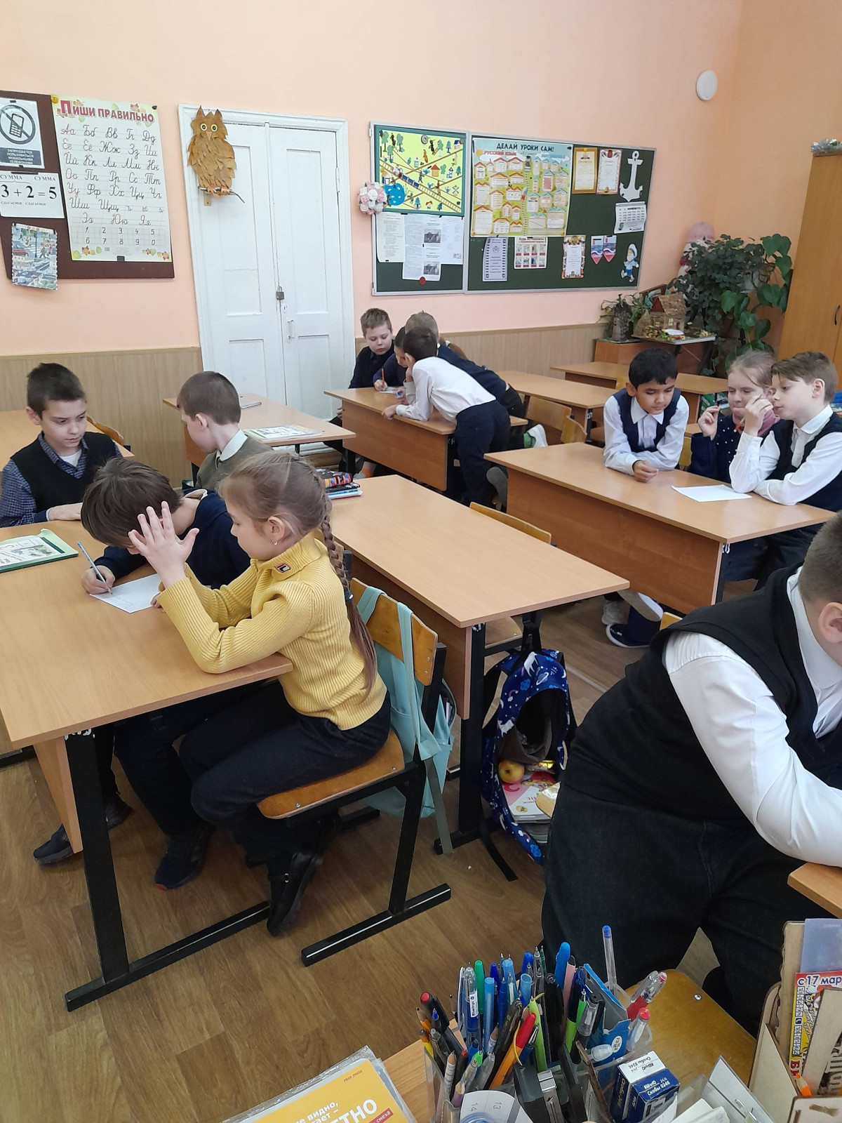 Постер к социальной практике: Помощь братьям нашим меньшим