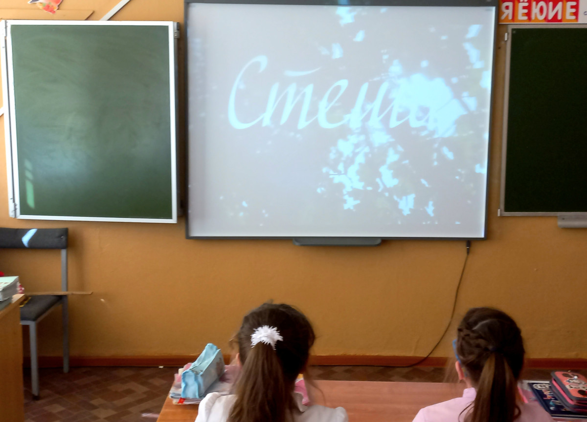 Постер к социальной практике: Стеша