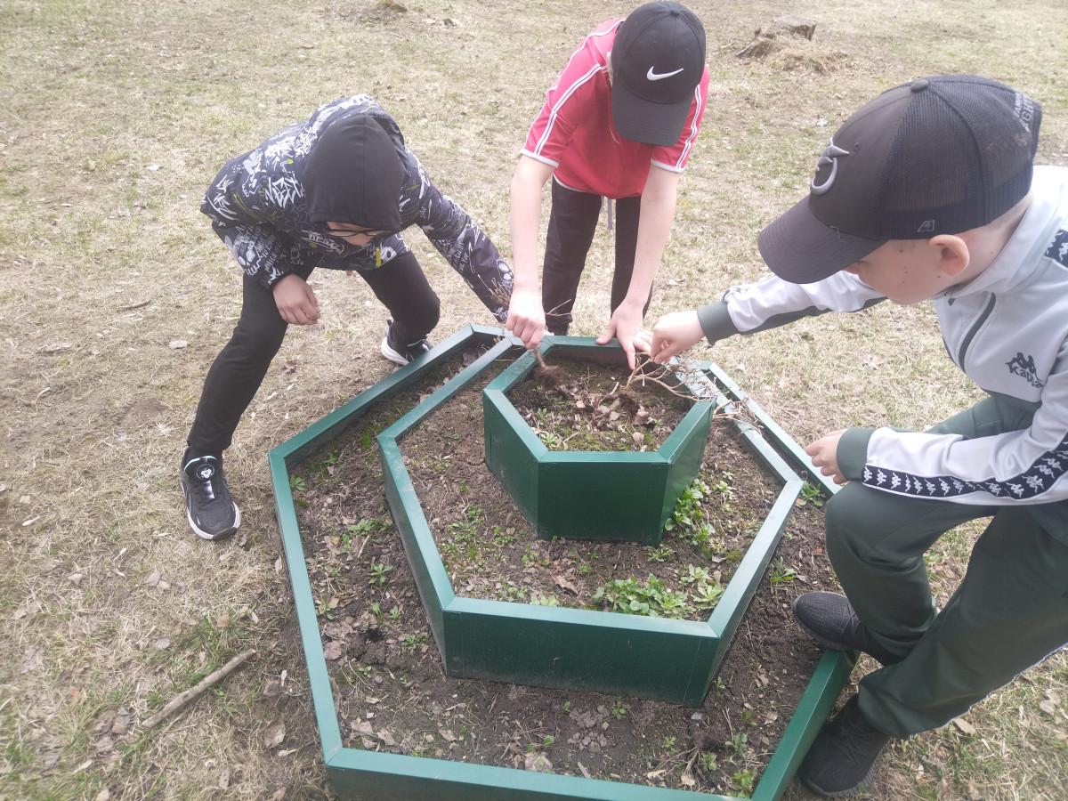 Постер к социальной практике: Экологический субботник