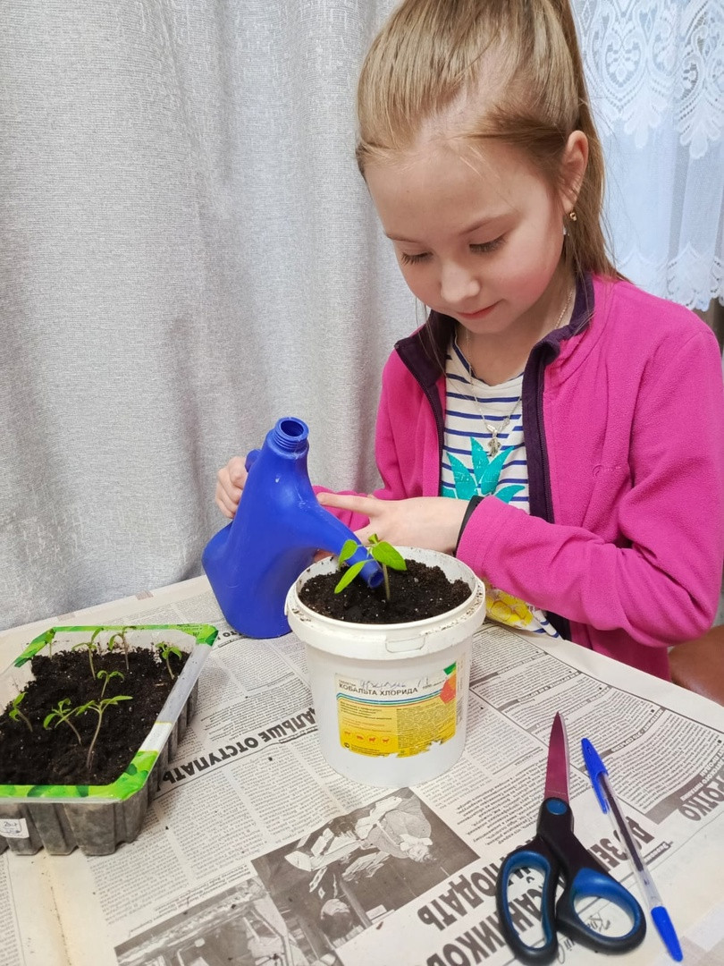 Постер к социальной практике: Аккуратностью весь свет держится