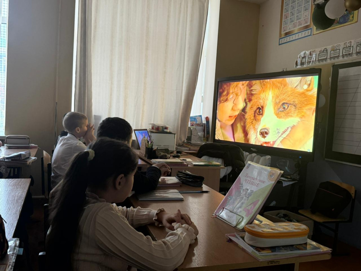 Постер к социальной практике: Братья наши меньшие