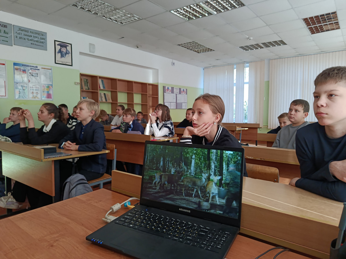 Постер к социальной практике: Любовь к природе начинается с маленьких поступков