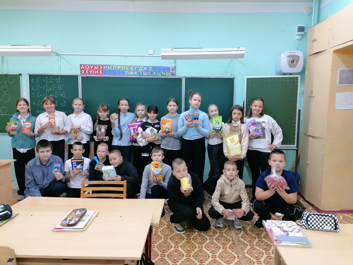 Постер к социальной практике: "Дай лапу, друг!*