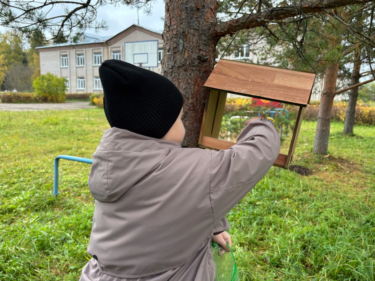 Постер к социальной практике: Помощь