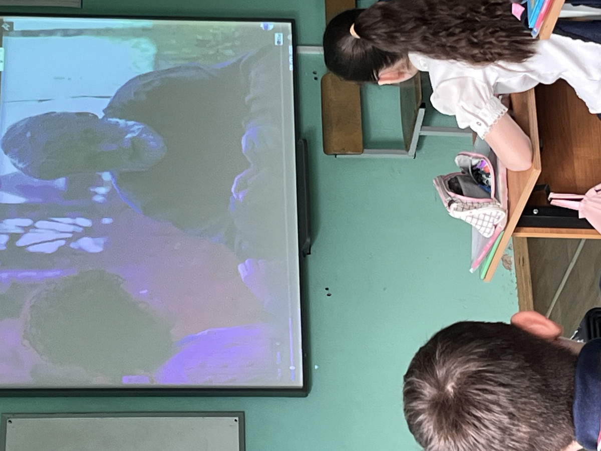 Постер к социальной практике: Стеша