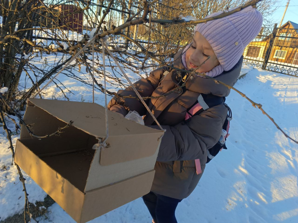 Постер к социальной практике: Помни о птицах!