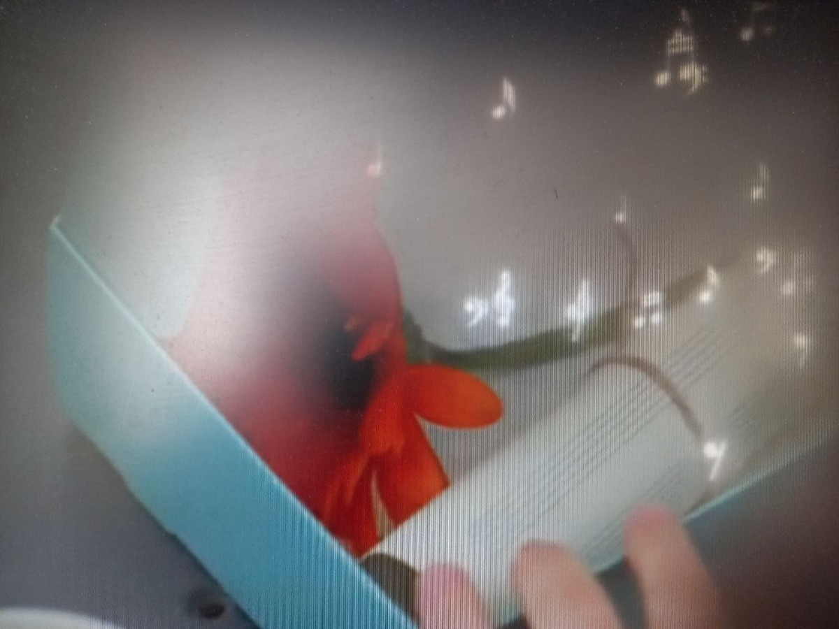 Постер к социальной практике: Тема: единение, согласованность