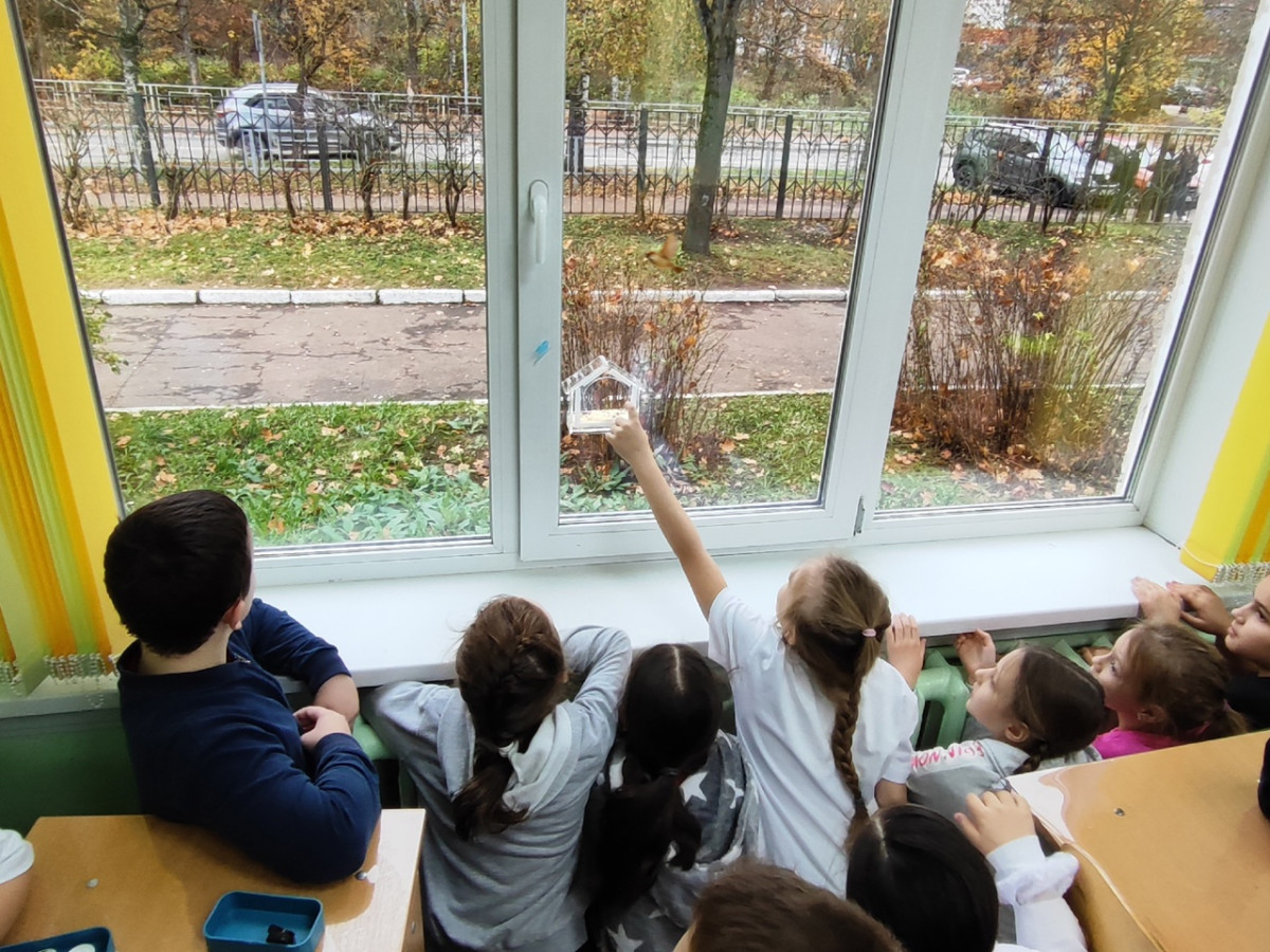 Постер к социальной практике: Пташки и Ко