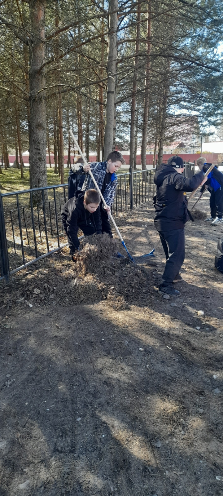 Постер к социальной практике: Любовь к природе