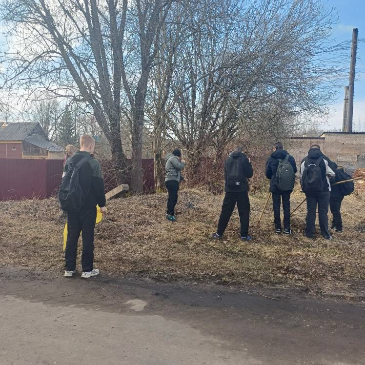 Постер к социальной практике: Моя мечта, как у медведя